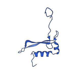 17804_8ppk_V_v1-0
Bat-Hp-CoV Nsp1 and eIF1 bound to the human 40S small ribosomal subunit