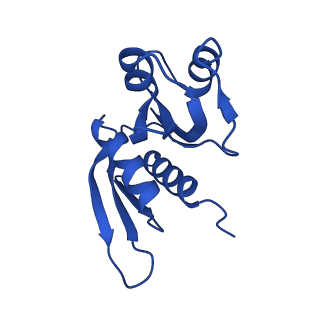 17804_8ppk_W_v1-0
Bat-Hp-CoV Nsp1 and eIF1 bound to the human 40S small ribosomal subunit