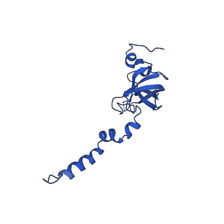 17804_8ppk_X_v1-0
Bat-Hp-CoV Nsp1 and eIF1 bound to the human 40S small ribosomal subunit