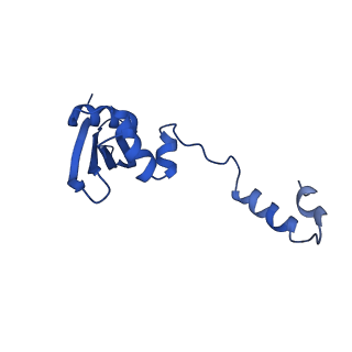 17804_8ppk_Y_v1-0
Bat-Hp-CoV Nsp1 and eIF1 bound to the human 40S small ribosomal subunit