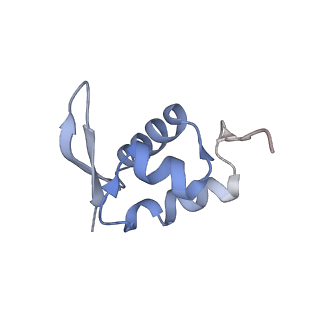 17804_8ppk_Z_v1-0
Bat-Hp-CoV Nsp1 and eIF1 bound to the human 40S small ribosomal subunit
