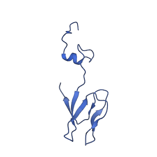 17804_8ppk_b_v1-0
Bat-Hp-CoV Nsp1 and eIF1 bound to the human 40S small ribosomal subunit