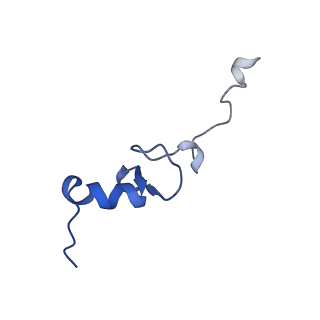 17804_8ppk_d_v1-0
Bat-Hp-CoV Nsp1 and eIF1 bound to the human 40S small ribosomal subunit
