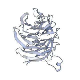 17804_8ppk_g_v1-0
Bat-Hp-CoV Nsp1 and eIF1 bound to the human 40S small ribosomal subunit