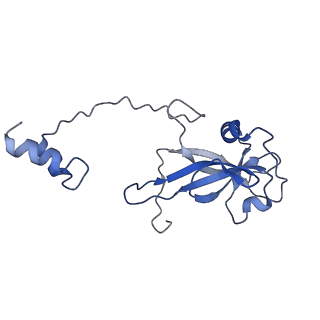 17804_8ppk_j_v1-0
Bat-Hp-CoV Nsp1 and eIF1 bound to the human 40S small ribosomal subunit