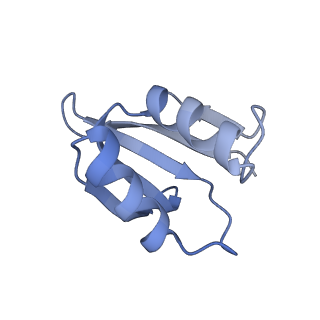 17804_8ppk_p_v1-0
Bat-Hp-CoV Nsp1 and eIF1 bound to the human 40S small ribosomal subunit