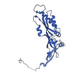 17805_8ppl_AB_v1-0
MERS-CoV Nsp1 bound to the human 43S pre-initiation complex
