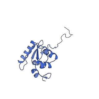 17805_8ppl_AP_v1-0
MERS-CoV Nsp1 bound to the human 43S pre-initiation complex