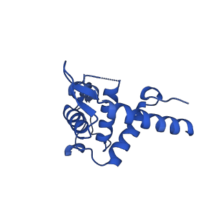 17805_8ppl_AT_v2-0
MERS-CoV Nsp1 bound to the human 43S pre-initiation complex