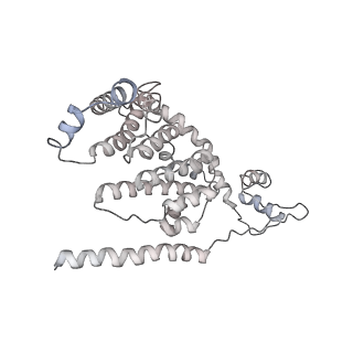 17805_8ppl_I5_v1-0
MERS-CoV Nsp1 bound to the human 43S pre-initiation complex