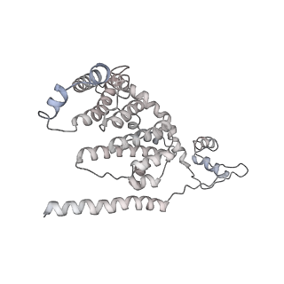 17805_8ppl_I5_v2-0
MERS-CoV Nsp1 bound to the human 43S pre-initiation complex
