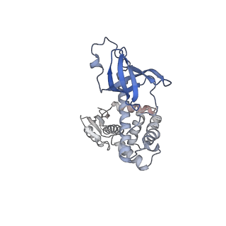 17805_8ppl_Ir_v1-0
MERS-CoV Nsp1 bound to the human 43S pre-initiation complex