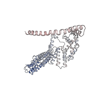 17805_8ppl_Iu_v1-0
MERS-CoV Nsp1 bound to the human 43S pre-initiation complex