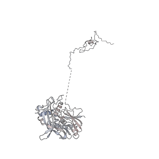 17805_8ppl_Ix_v2-0
MERS-CoV Nsp1 bound to the human 43S pre-initiation complex