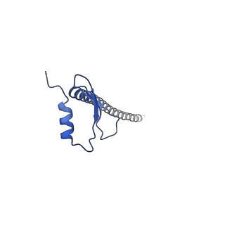 17814_8ppr_F_v1-0
Structure of the human outer kinetochore KMN network complex