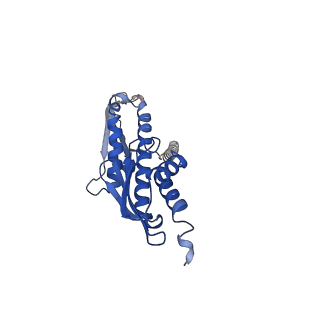 17814_8ppr_K_v1-0
Structure of the human outer kinetochore KMN network complex