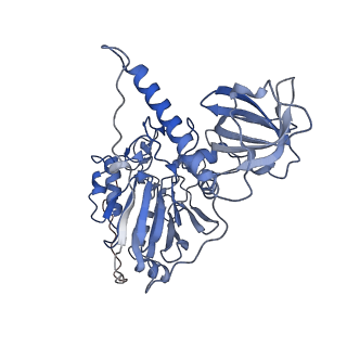 17816_8ppu_A_v1-1
Pyrococcus abyssi DNA polymerase D (PolD) in its editing mode bound to a primer/template substrate containing three consecutive mismatches