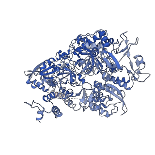 17816_8ppu_B_v1-1
Pyrococcus abyssi DNA polymerase D (PolD) in its editing mode bound to a primer/template substrate containing three consecutive mismatches