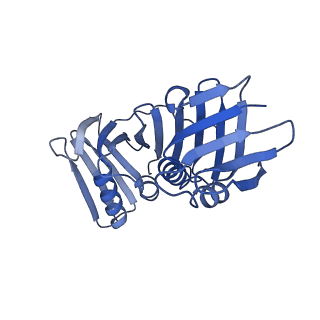 17817_8ppv_D_v1-1
Intermediate conformer of Pyrococcus abyssi DNA polymerase D (PolD) bound to a primer/template substrate containing three consecutive mismatches