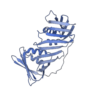 17817_8ppv_E_v1-1
Intermediate conformer of Pyrococcus abyssi DNA polymerase D (PolD) bound to a primer/template substrate containing three consecutive mismatches