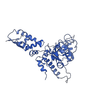 20419_6pp5_B_v1-0
ClpX in ClpX-ClpP complex bound to substrate and ATP-gamma-S, class 4