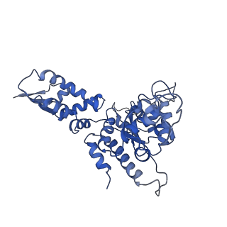 20419_6pp5_B_v1-1
ClpX in ClpX-ClpP complex bound to substrate and ATP-gamma-S, class 4