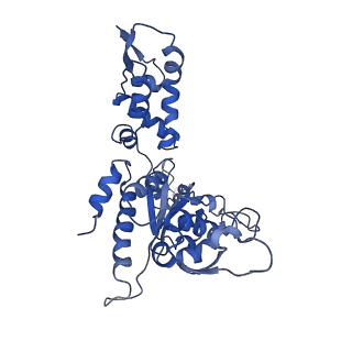 20419_6pp5_C_v1-0
ClpX in ClpX-ClpP complex bound to substrate and ATP-gamma-S, class 4