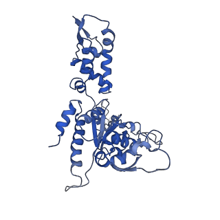 20419_6pp5_C_v1-1
ClpX in ClpX-ClpP complex bound to substrate and ATP-gamma-S, class 4