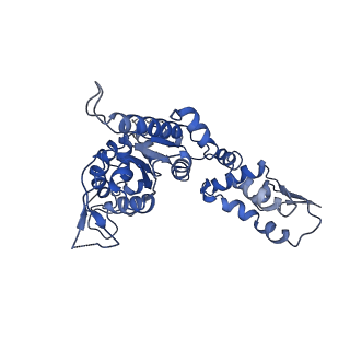 20419_6pp5_E_v1-1
ClpX in ClpX-ClpP complex bound to substrate and ATP-gamma-S, class 4