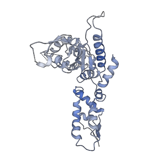 20419_6pp5_F_v1-1
ClpX in ClpX-ClpP complex bound to substrate and ATP-gamma-S, class 4