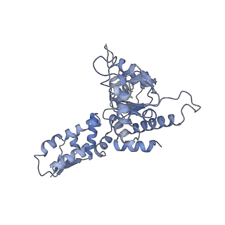 20420_6pp6_A_v1-1
ClpX in ClpX-ClpP complex bound to substrate and ATP-gamma-S, class 3