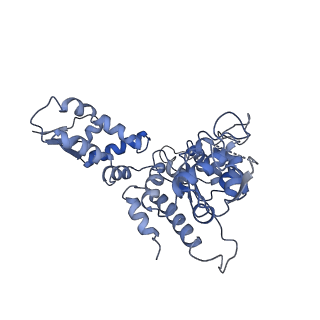 20420_6pp6_B_v1-0
ClpX in ClpX-ClpP complex bound to substrate and ATP-gamma-S, class 3