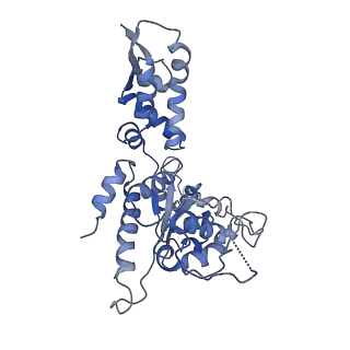 20420_6pp6_C_v1-1
ClpX in ClpX-ClpP complex bound to substrate and ATP-gamma-S, class 3