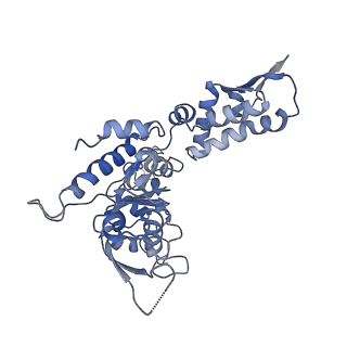 20420_6pp6_D_v1-1
ClpX in ClpX-ClpP complex bound to substrate and ATP-gamma-S, class 3