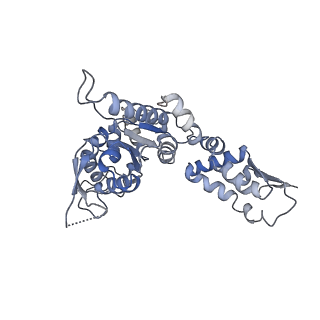 20420_6pp6_E_v1-1
ClpX in ClpX-ClpP complex bound to substrate and ATP-gamma-S, class 3