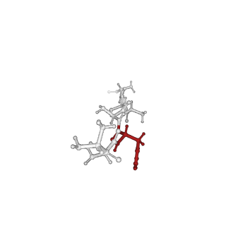 20420_6pp6_S_v1-1
ClpX in ClpX-ClpP complex bound to substrate and ATP-gamma-S, class 3