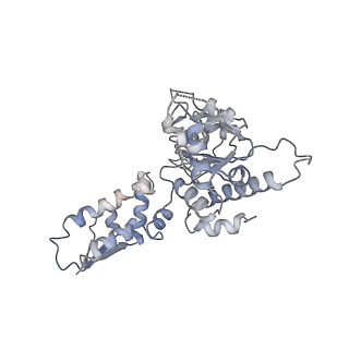20421_6pp7_A_v1-0
ClpX in ClpX-ClpP complex bound to substrate and ATP-gamma-S, class 2