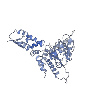 20421_6pp7_B_v1-1
ClpX in ClpX-ClpP complex bound to substrate and ATP-gamma-S, class 2