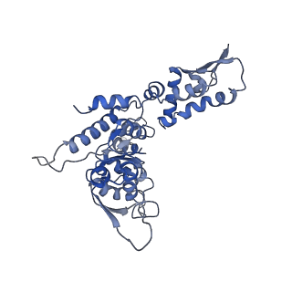 20421_6pp7_D_v1-1
ClpX in ClpX-ClpP complex bound to substrate and ATP-gamma-S, class 2