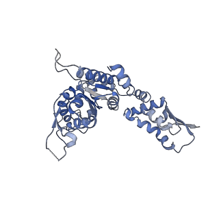 20421_6pp7_E_v1-1
ClpX in ClpX-ClpP complex bound to substrate and ATP-gamma-S, class 2