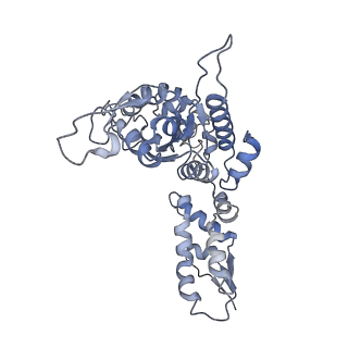 20421_6pp7_F_v1-1
ClpX in ClpX-ClpP complex bound to substrate and ATP-gamma-S, class 2