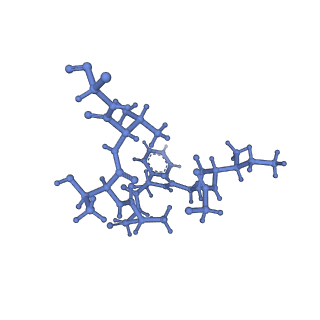 20434_6ppe_1_v1-1
ClpP and ClpX IGF loop in ClpX-ClpP complex with D7 symmetry