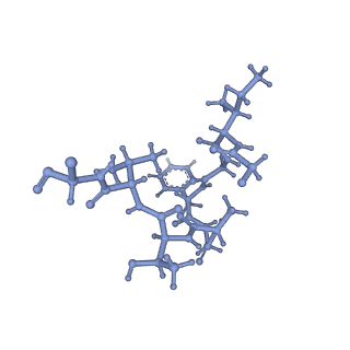 20434_6ppe_2_v1-1
ClpP and ClpX IGF loop in ClpX-ClpP complex with D7 symmetry