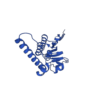 20434_6ppe_D_v1-1
ClpP and ClpX IGF loop in ClpX-ClpP complex with D7 symmetry