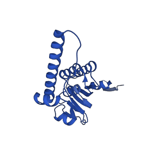 20434_6ppe_E_v1-1
ClpP and ClpX IGF loop in ClpX-ClpP complex with D7 symmetry