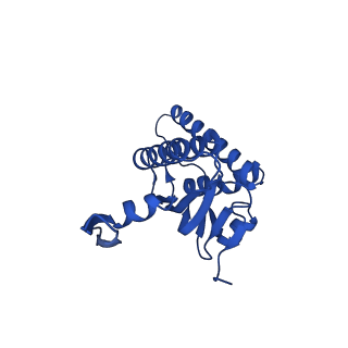 20434_6ppe_H_v1-1
ClpP and ClpX IGF loop in ClpX-ClpP complex with D7 symmetry