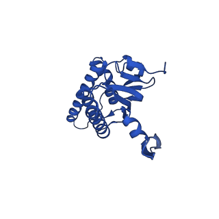 20434_6ppe_J_v1-1
ClpP and ClpX IGF loop in ClpX-ClpP complex with D7 symmetry