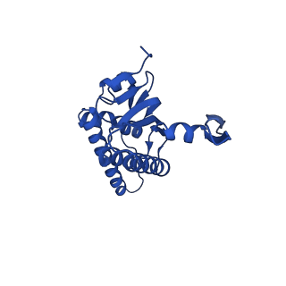 20434_6ppe_K_v1-1
ClpP and ClpX IGF loop in ClpX-ClpP complex with D7 symmetry