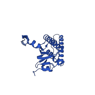 20434_6ppe_N_v1-1
ClpP and ClpX IGF loop in ClpX-ClpP complex with D7 symmetry