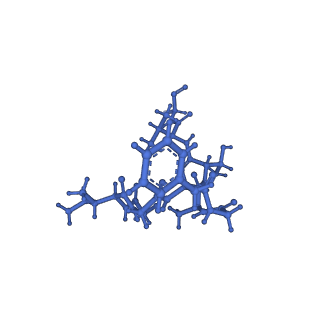 20434_6ppe_P_v1-1
ClpP and ClpX IGF loop in ClpX-ClpP complex with D7 symmetry